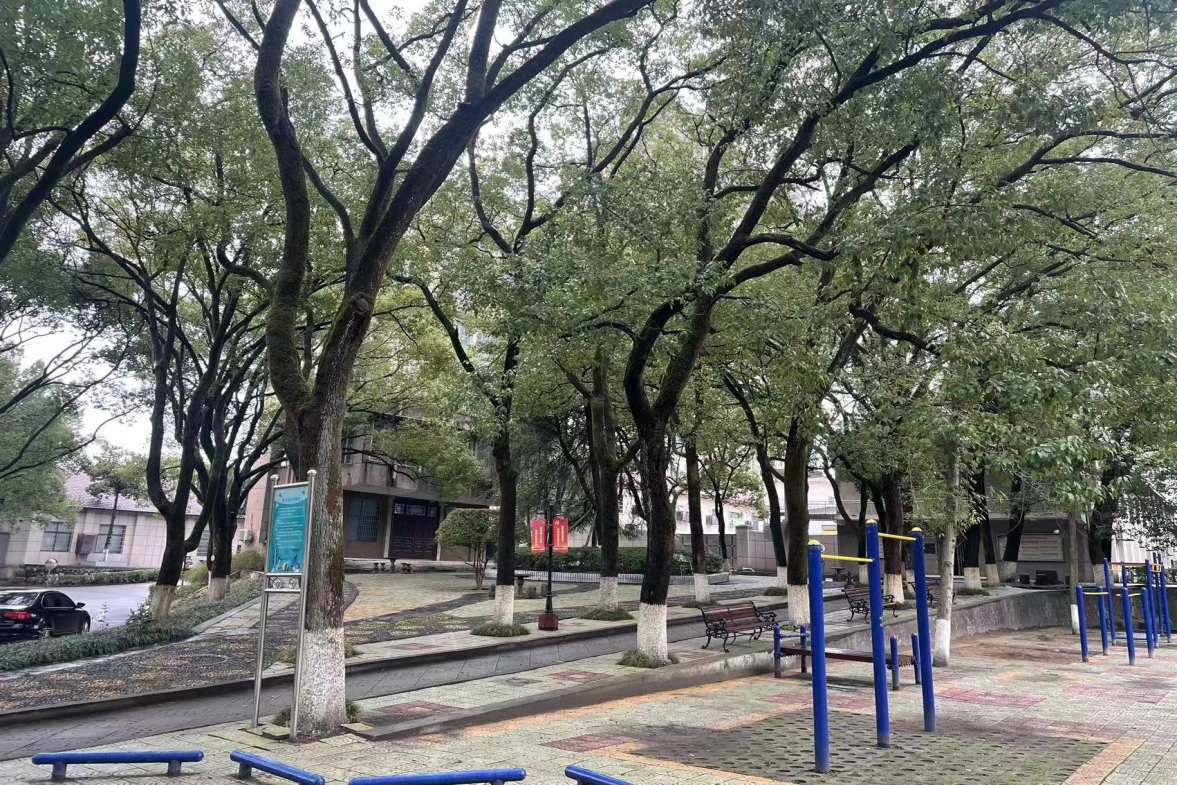 电力局家属楼 2室1厅1卫 42.80万 电力局家属楼 2室1厅1卫 42.80万户型图