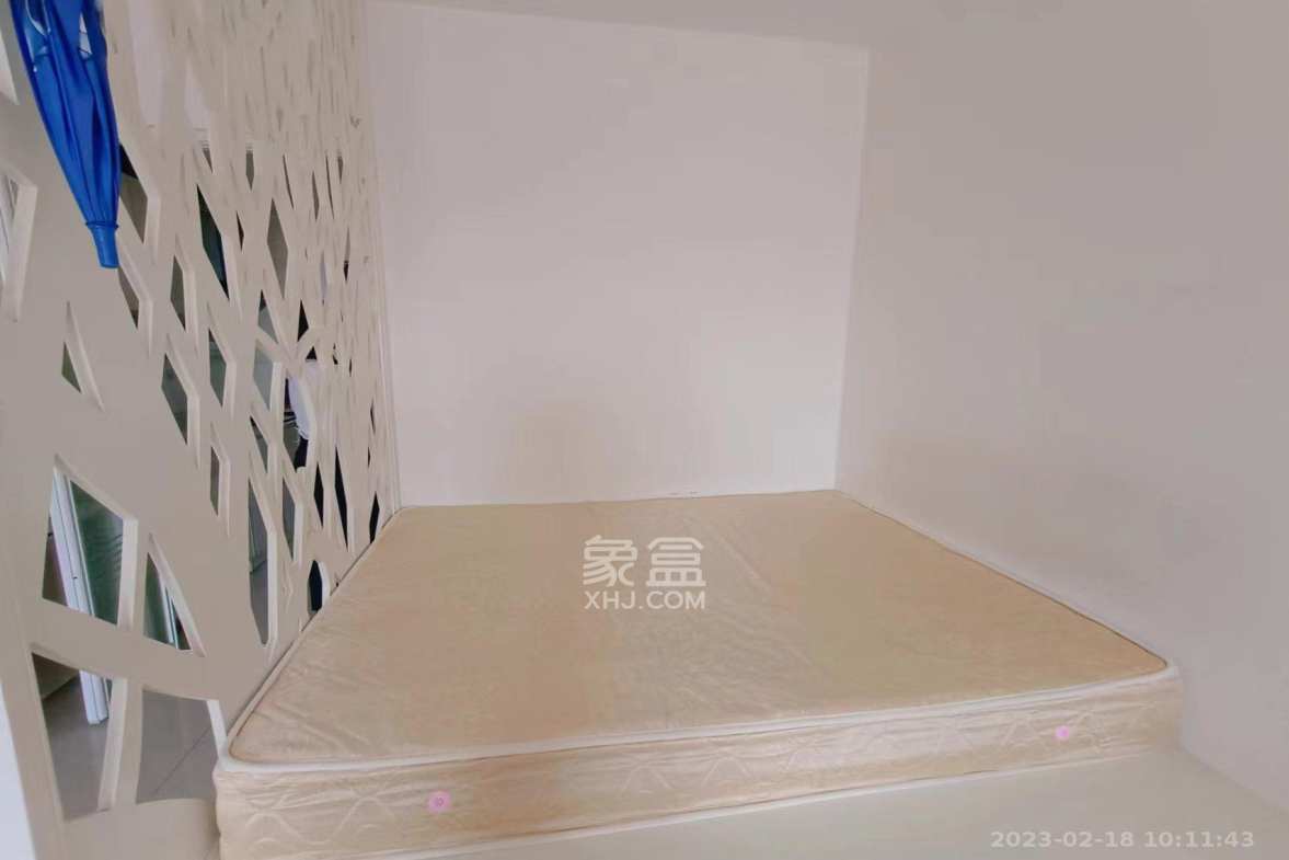 曙光领峰（曙光家园）  1室1厅1卫    1600.0元/月室内图