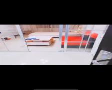东方豪苑  1室1厅1卫   1000.00元/月
