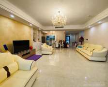 北辰定江洋  3室2厅2卫   12000.00元/月