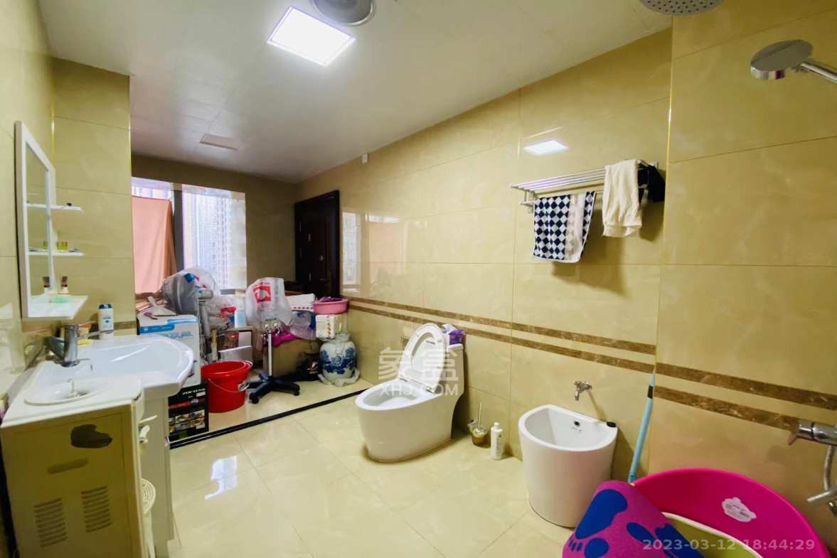 北辰定江洋  3室2厅2卫   12000.00元/月室内图