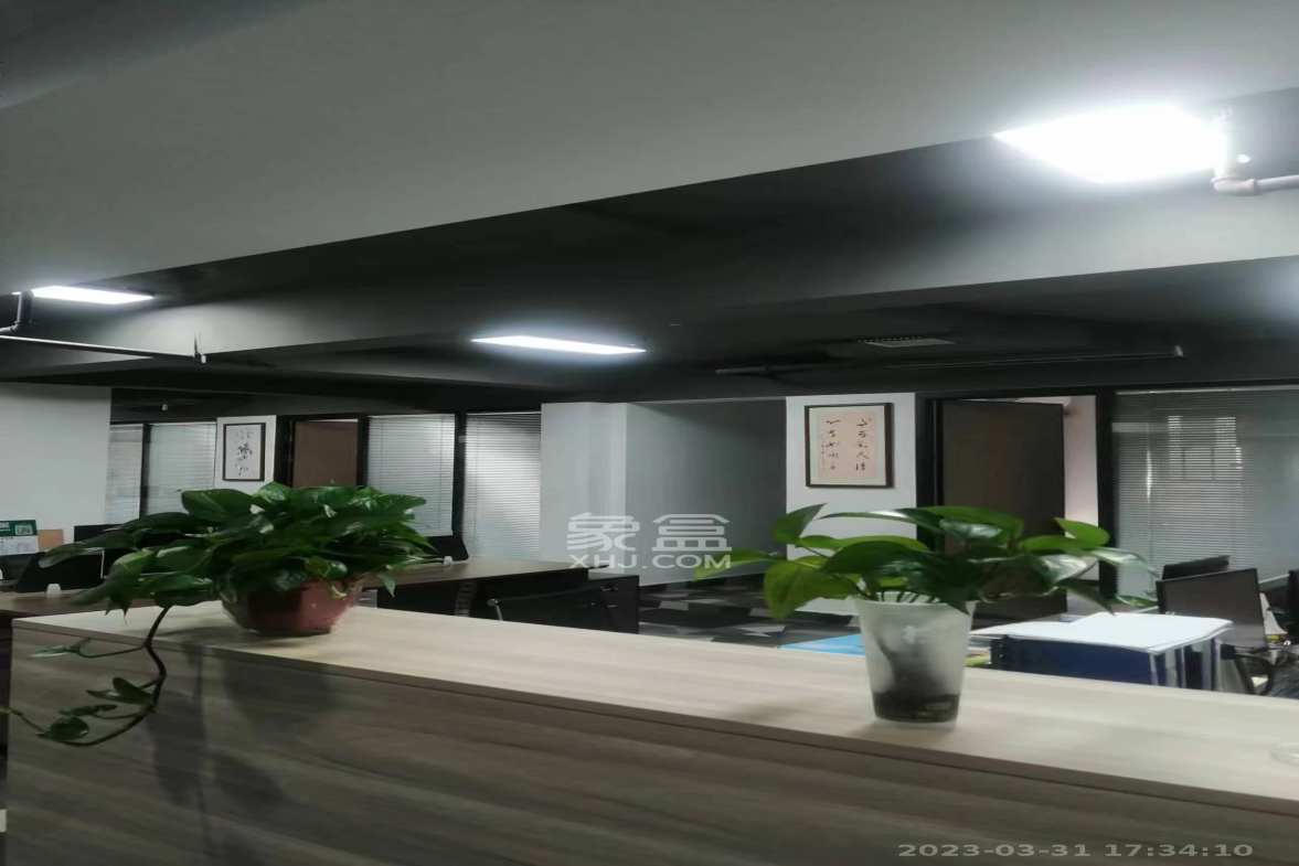 合能洋湖公馆 1室1厅1卫 25000.0元/月 合能洋湖公馆 1室1厅1卫 25000.0元/月室内图