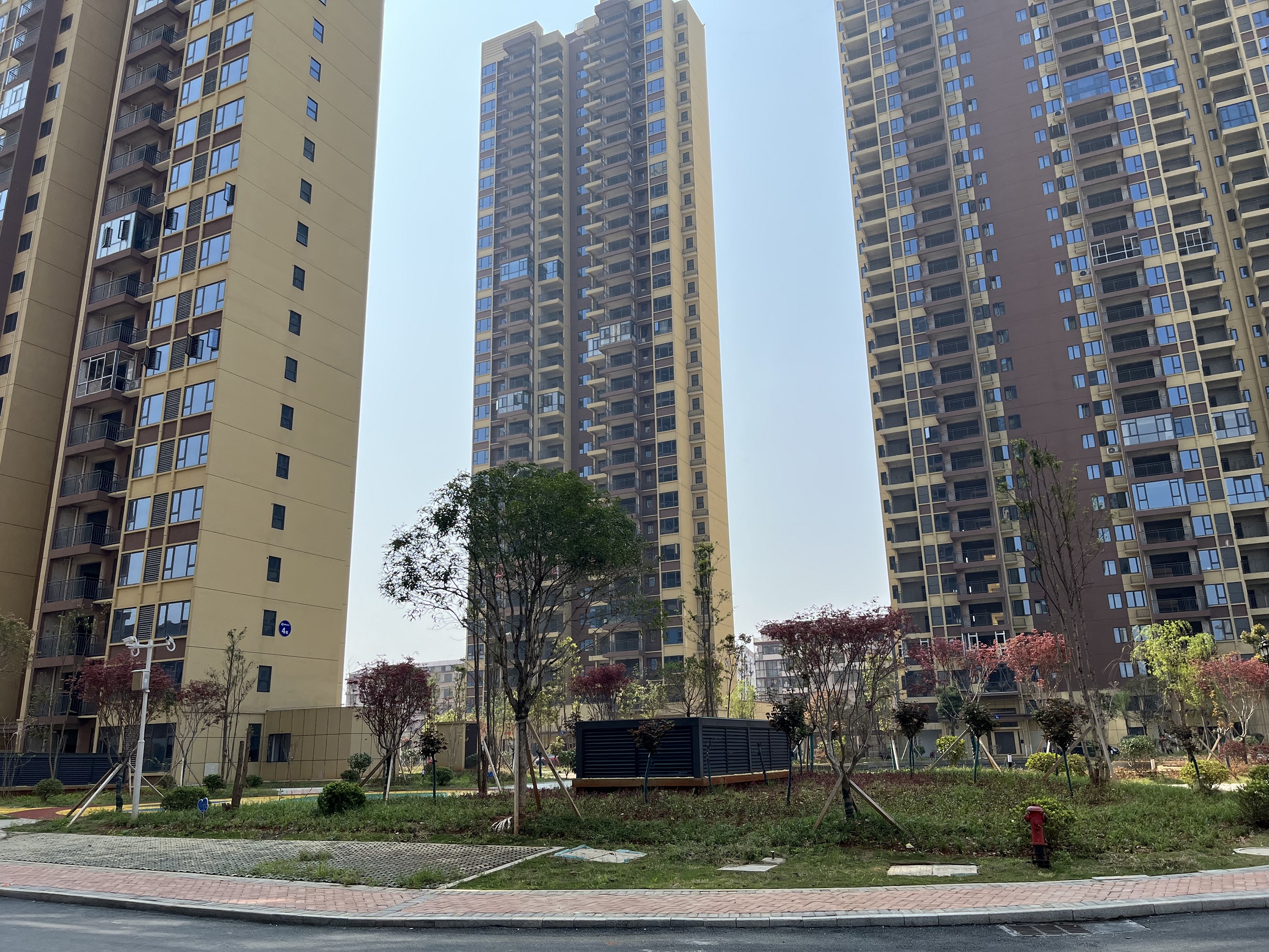 湘村名园  4室3厅2卫    80.0万