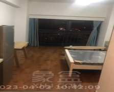 天赐万象汇  1室1厅1卫   1300.00元/月