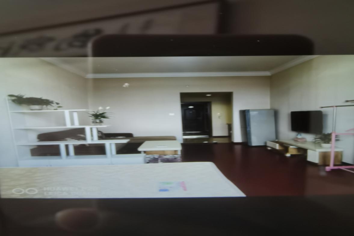 西湖公寓  1室1厅1卫   1300.00元/月室内图