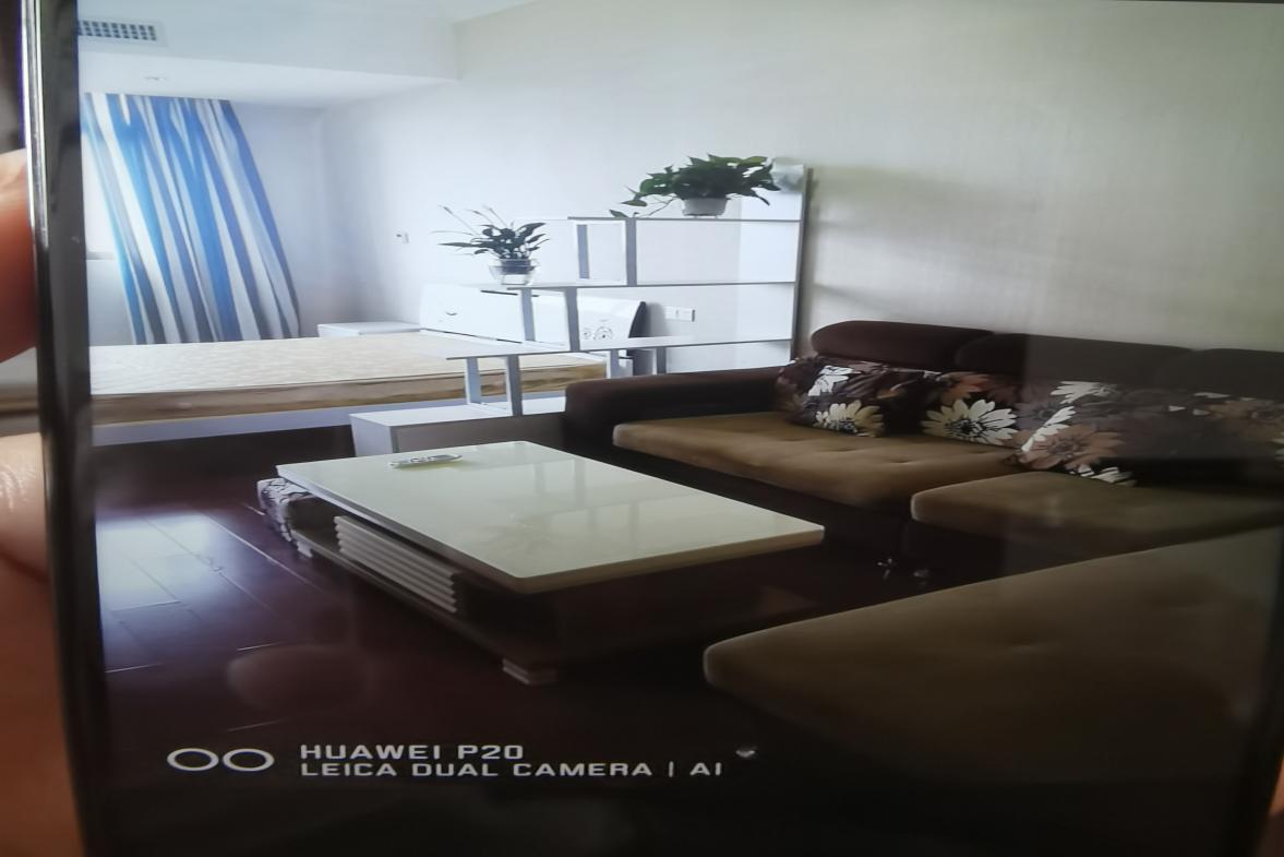 西湖公寓  1室1厅1卫   1300.00元/月室内图
