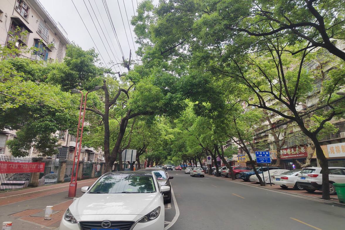 工业总公司家属院(贤童街 2室1厅1卫 450.00元/月 工业总公司家属院(贤童街 2室1厅1卫 450.00元/月小区图