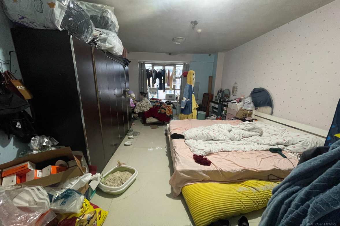 环洲鼎盛  1室1厅1卫    800.0元/月室内图