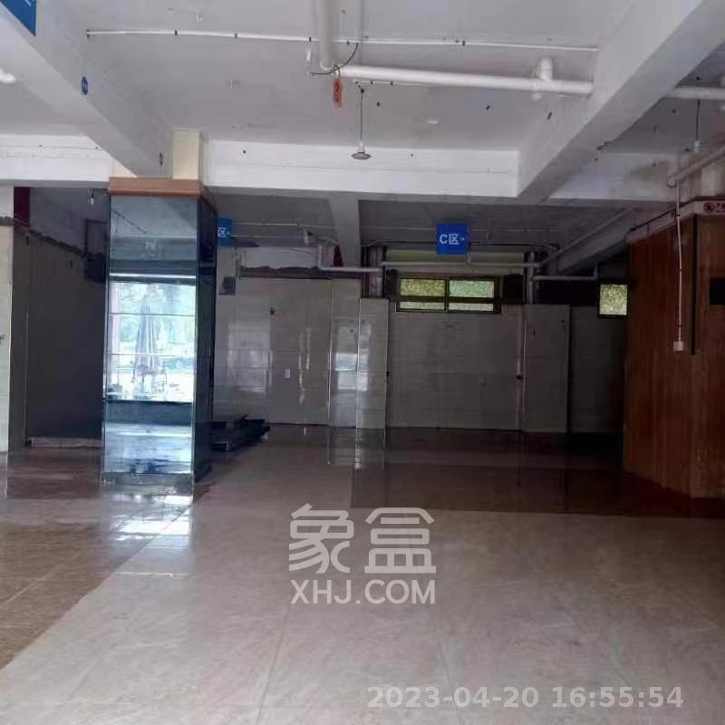 金地园   200.0㎡      7200.0元/月室内图