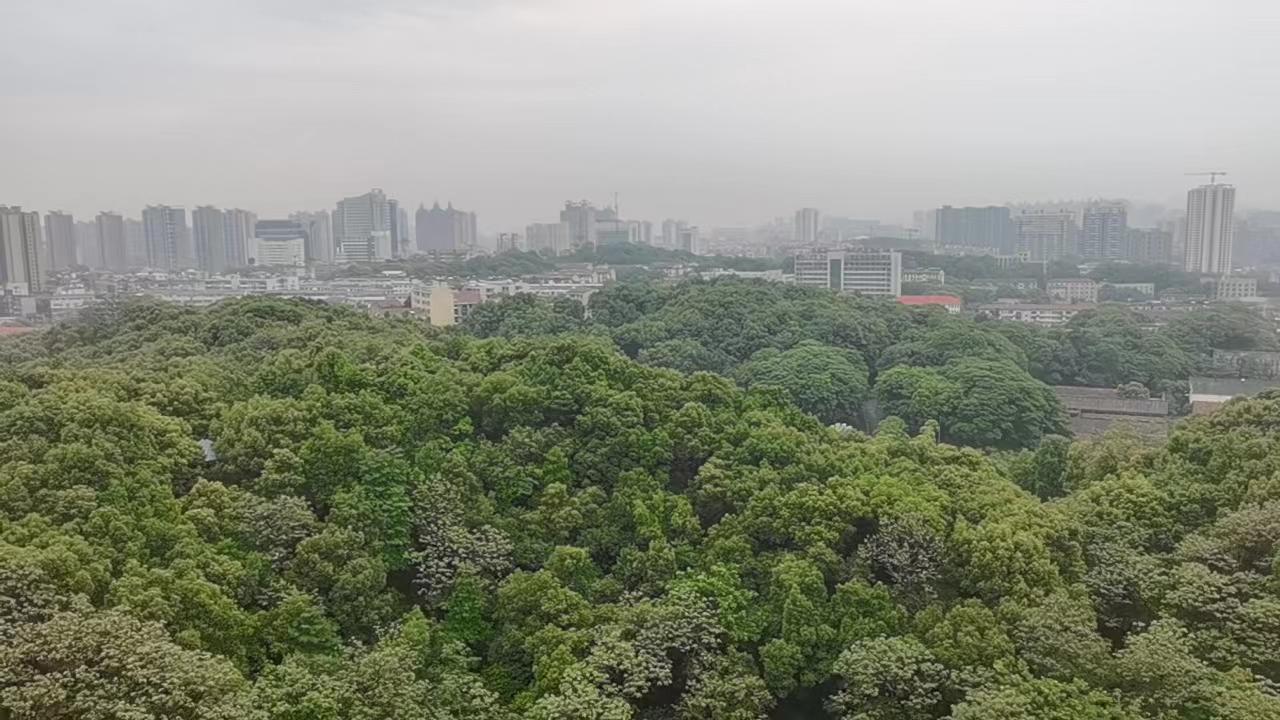 秀峰湖新岸  3室2厅2卫   62.00万小区图