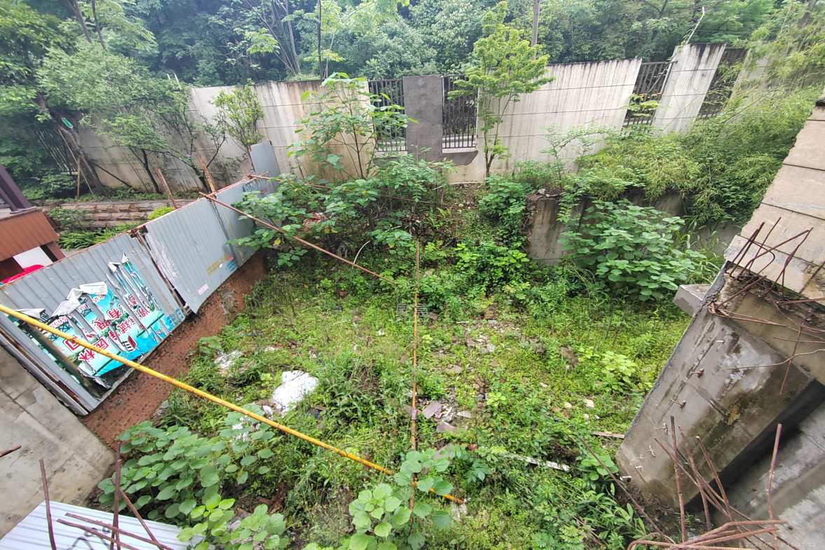 佳兆业云顶梅溪湖（佳兆业梅溪荟）  6室3厅4卫   15000.00元/月室内图1