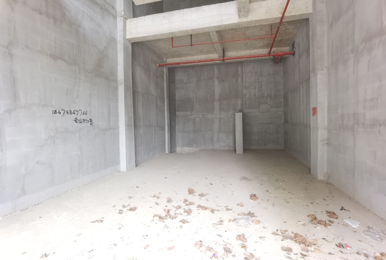 碧桂园豪园   120.0㎡      3200.0元/月室内图