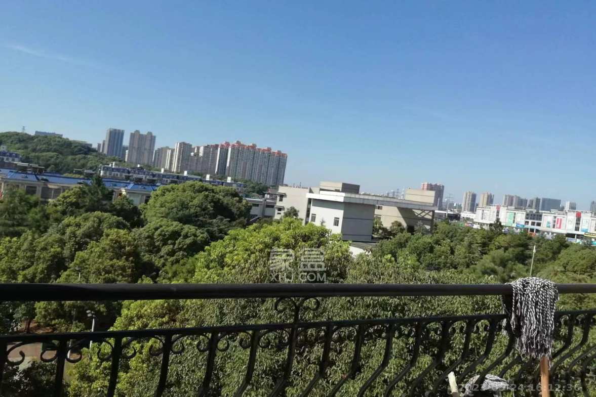 泰格林纸  5室3厅3卫   2200.00元/月室内图