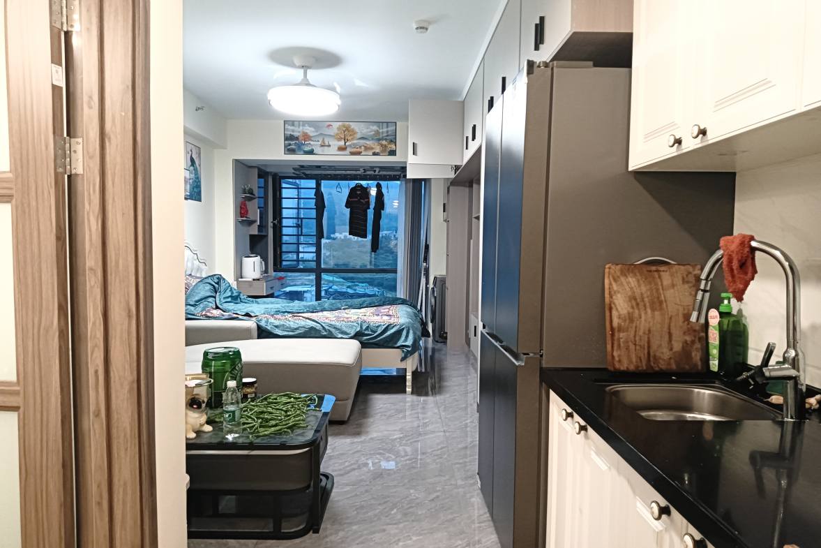 碧桂园豪园-二期  1室1厅1卫    26.8万室内图1