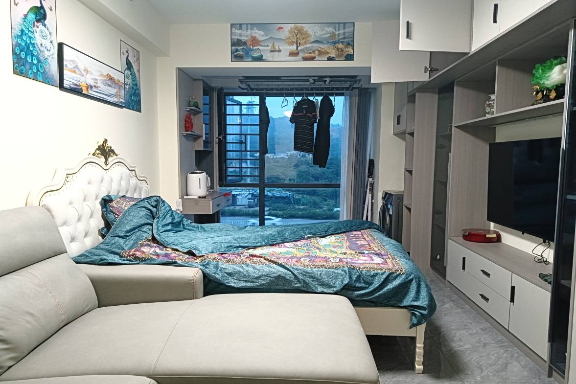 碧桂园豪园-二期  1室1厅1卫    26.8万室内图