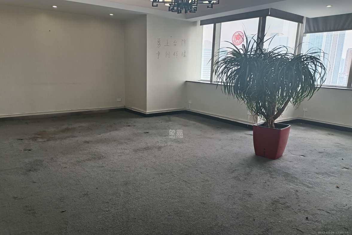 华侨国际 1室1厅1卫 15000.0元/月 华侨国际 1室1厅1卫 15000.0元/月室内图