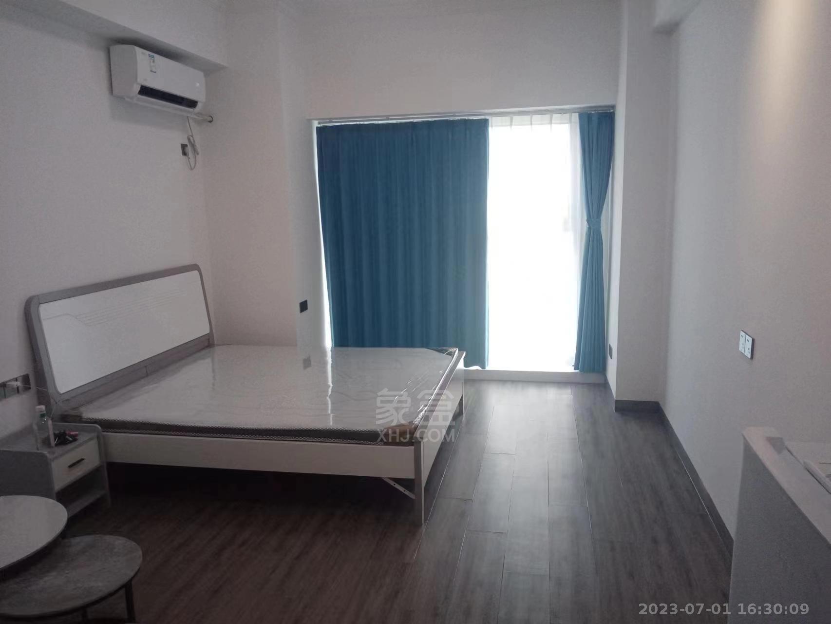 天赐万象汇  1室1厅1卫    1300.0元/月