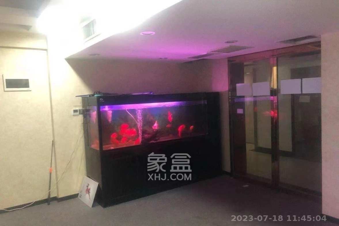 明城国际 1室1厅1卫 10000.0元/月 明城国际 1室1厅1卫 10000.0元/月室内图