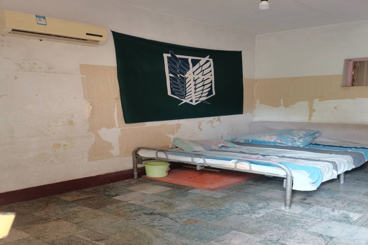 金山花园+煤碳公司  2室1厅1卫    700.0元/月室内图1