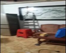 区政府  2室1厅1卫    800.0元/月