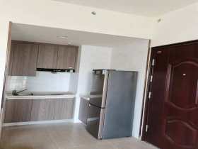 碧桂园翘楚棠  1室1厅1卫    45.0万