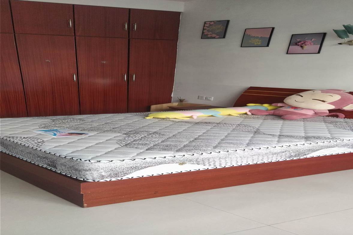 金碧文苑  3室1厅1卫    1000.0元/月户型图