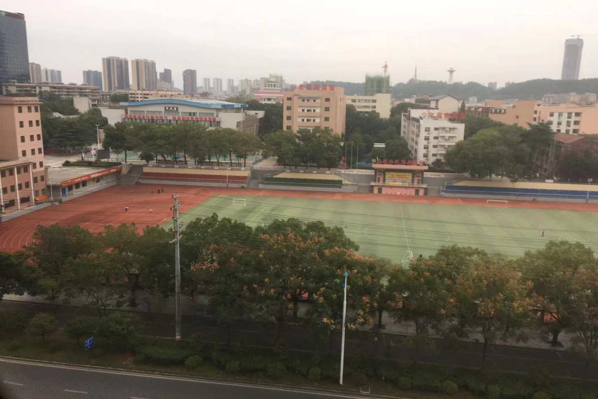 星海名都  1室1厅1卫    800.0元/月室内图