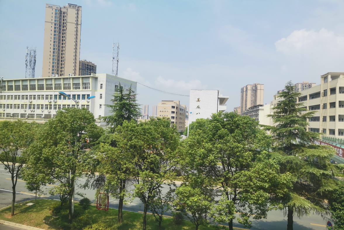 娄星区散盘  2室1厅1卫    1250.0元/月室内图