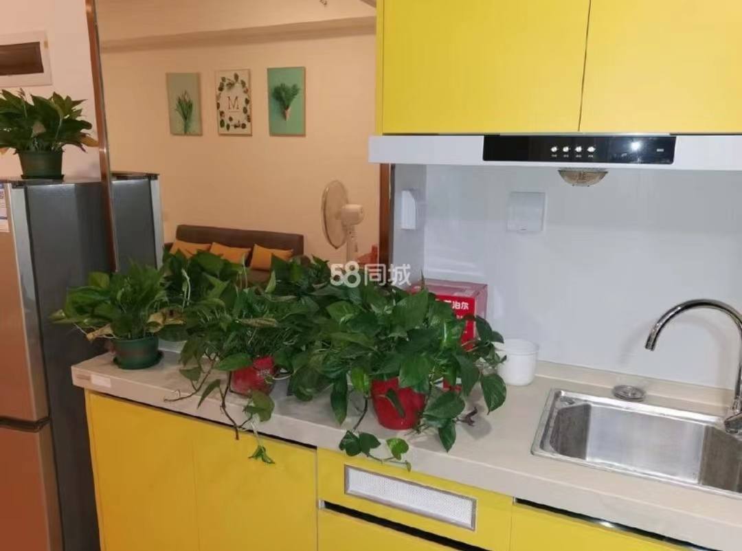 五江碧桂园城市广场  1室1厅1卫    21.8万室内图