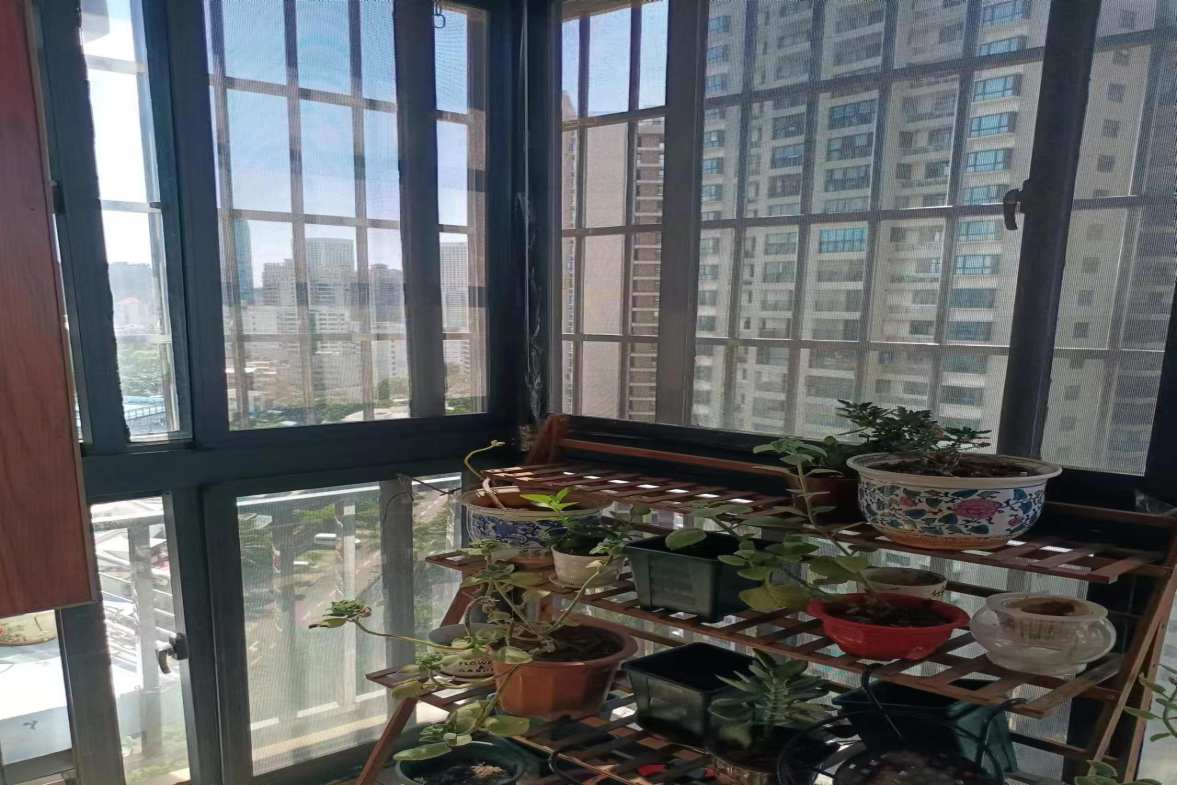 金海广场  3室2厅2卫   198.00万室内图