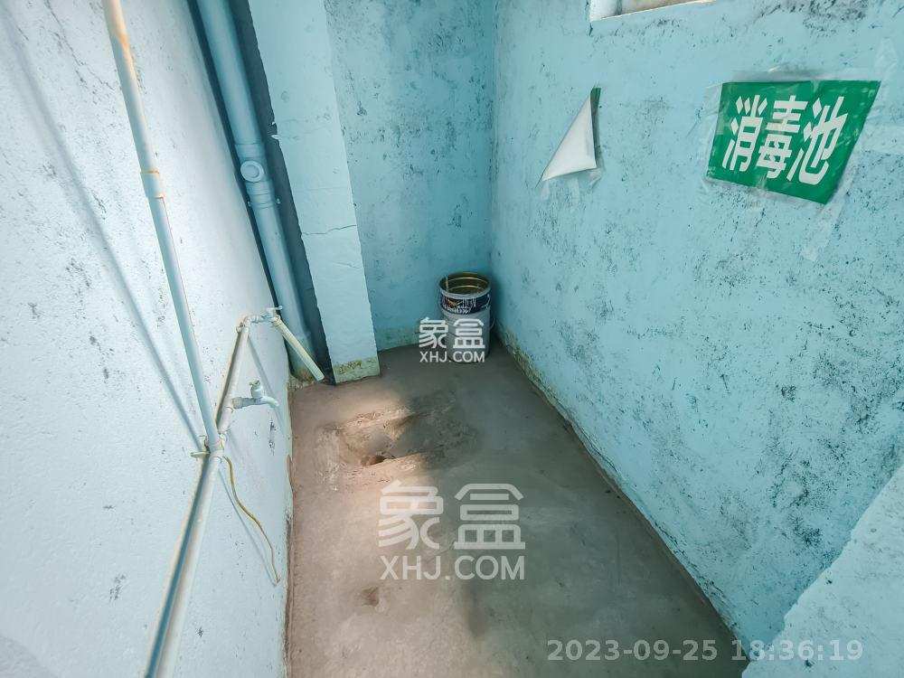 金鹰机电大市场  3室2厅2卫   1800.00元/月室内图