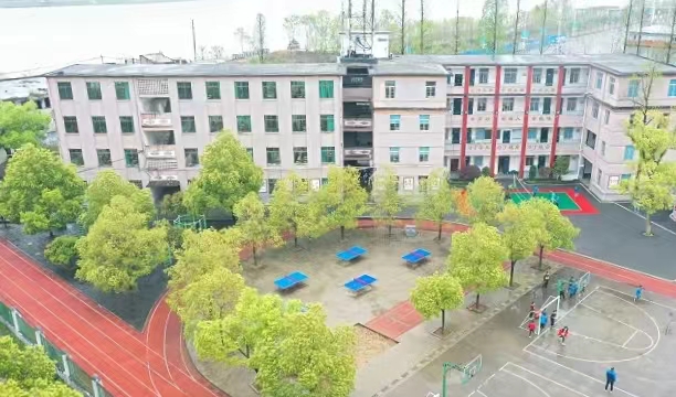 合江小学