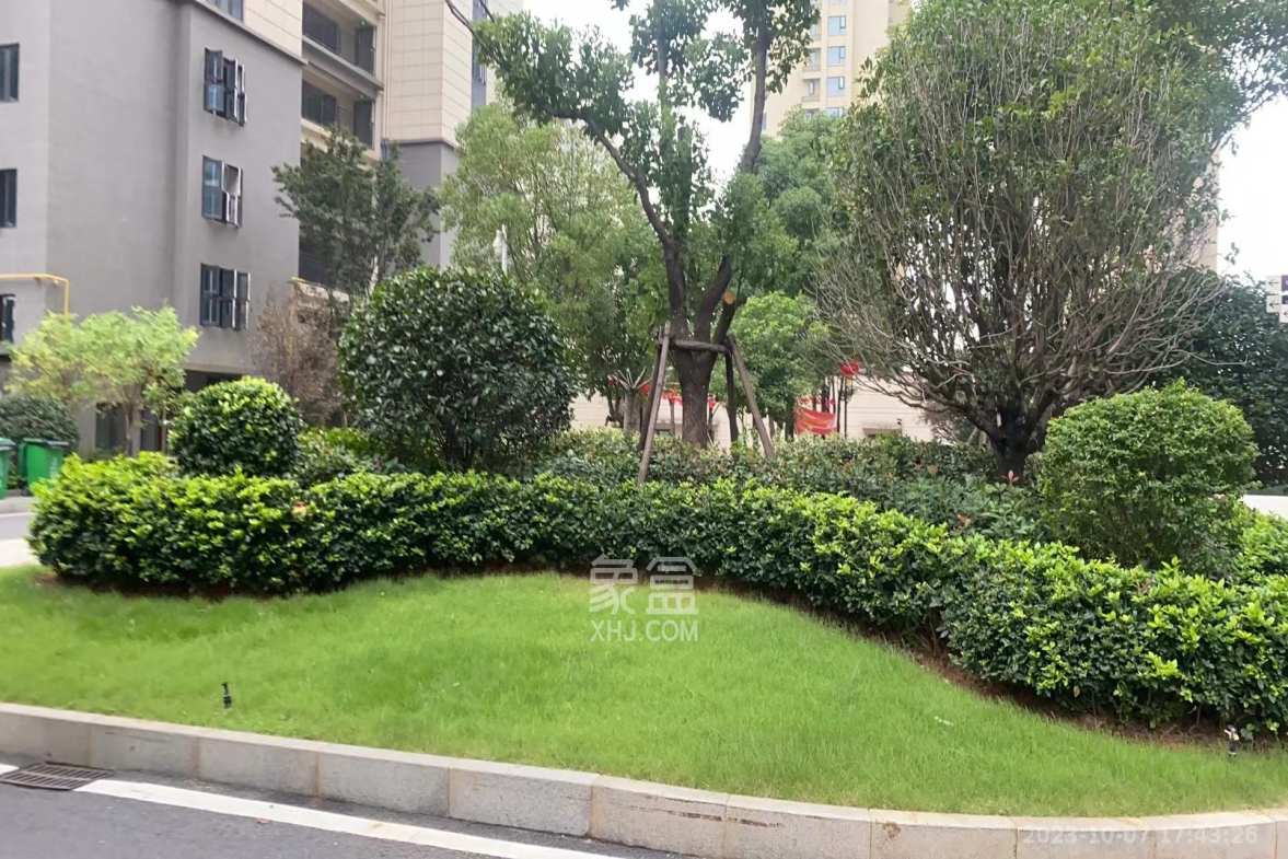 碧桂园黄金时代  4室2厅2卫    122.0万小区图
