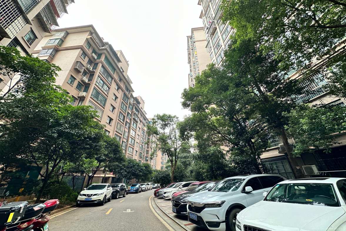 湖湘林语二期  4室2厅2卫    49.8万客厅