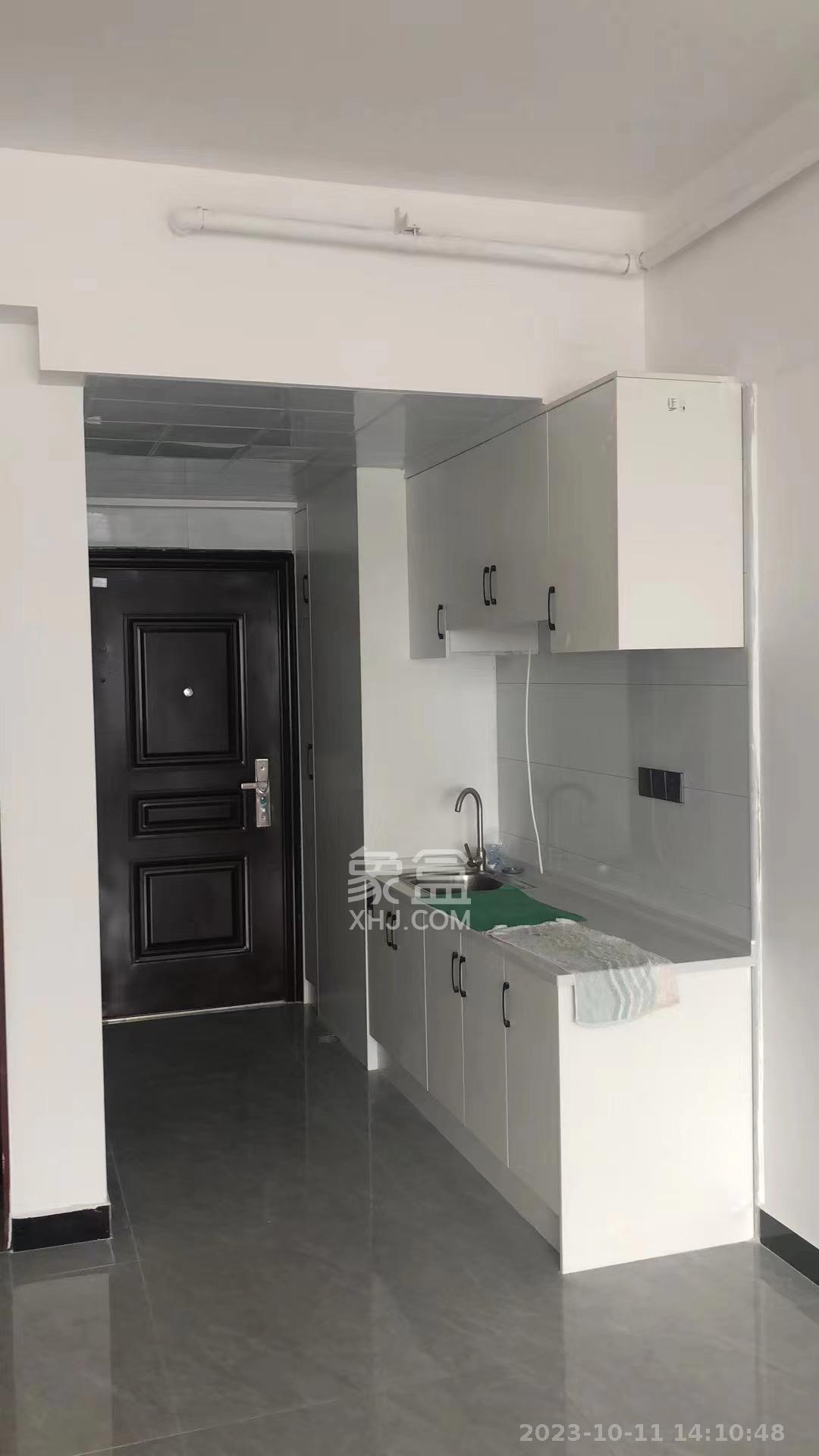 大汉金桥国际市场集群  1室1厅1卫    1300.0元/月