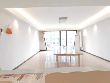 新阳光100大湖第  4室2厅2卫    5000.0元/月