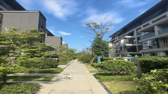 东原麓印长江C区室内图2