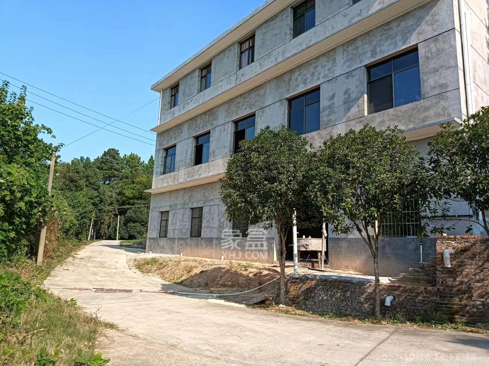 安沙镇安沙中路散盘   880.0㎡      8000.0元/月室内图