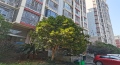 大汉巨龙家园  4室2厅2卫   1800.00元/月