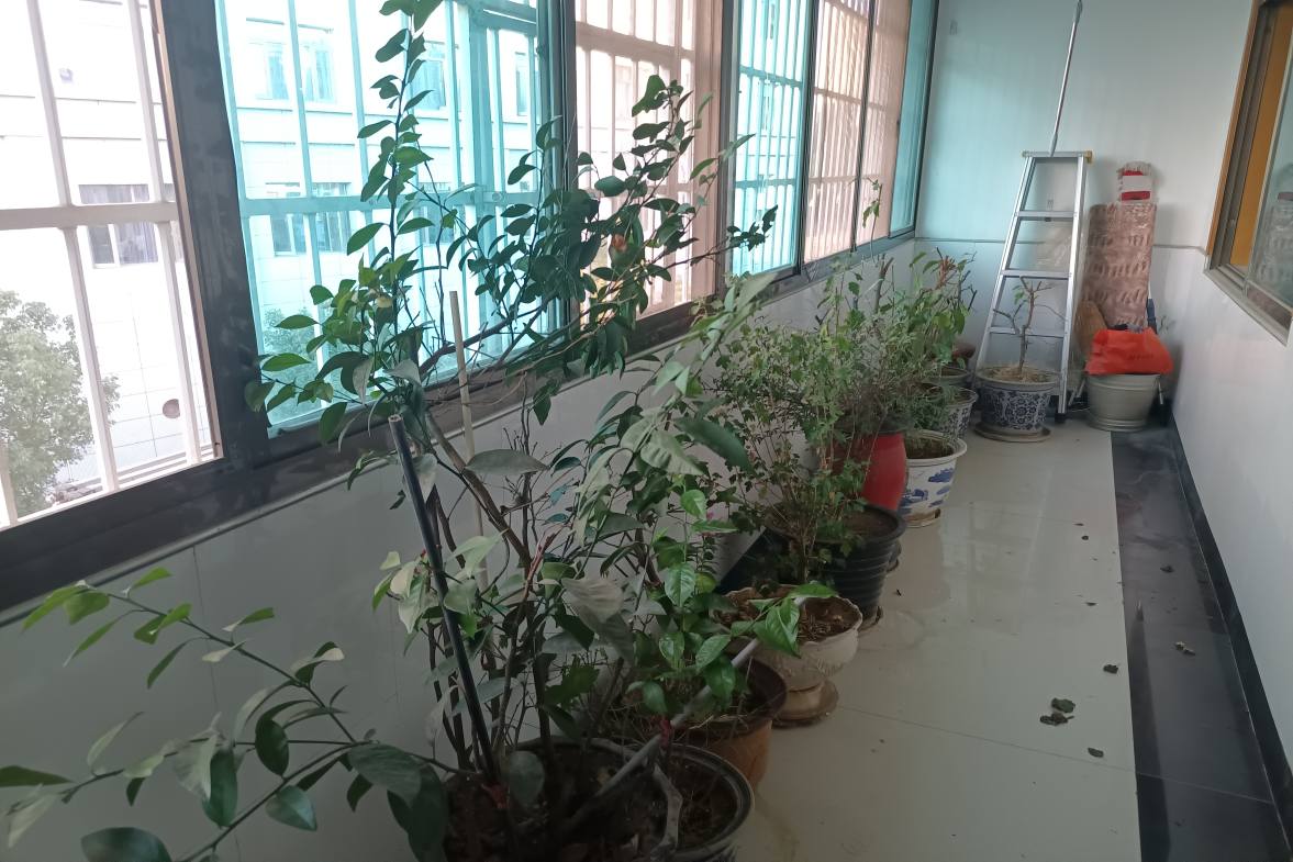 娄底司法  4室2厅2卫    82.8万 娄底司法  4室2厅2卫    82.8万客厅