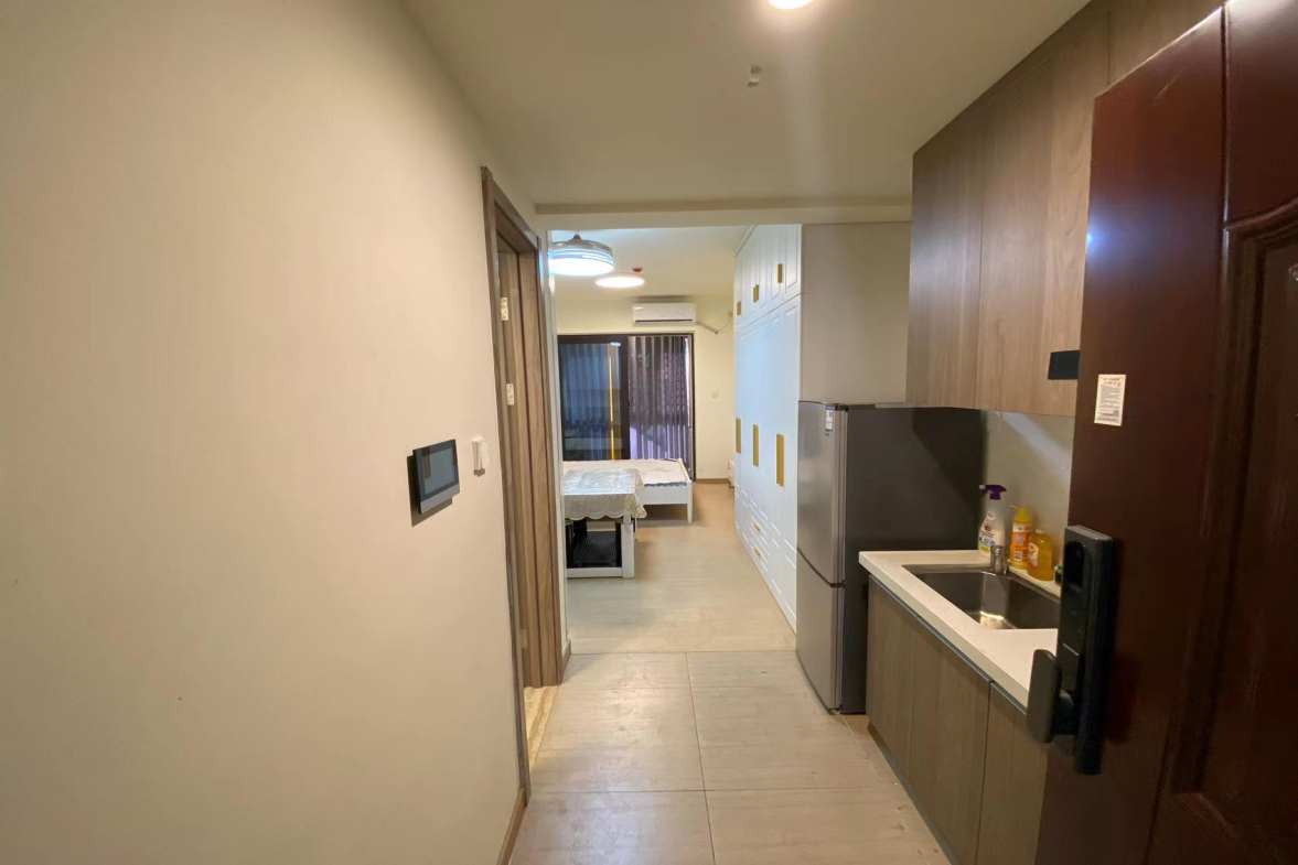 碧桂园翘楚棠  1室1厅1卫    30.0万室内图1