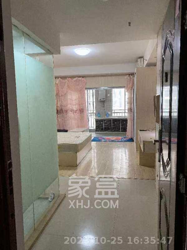九华新都汇  1室1厅1卫   18.80万室内图