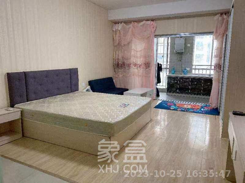 九华新都汇  1室1厅1卫   18.80万室内图