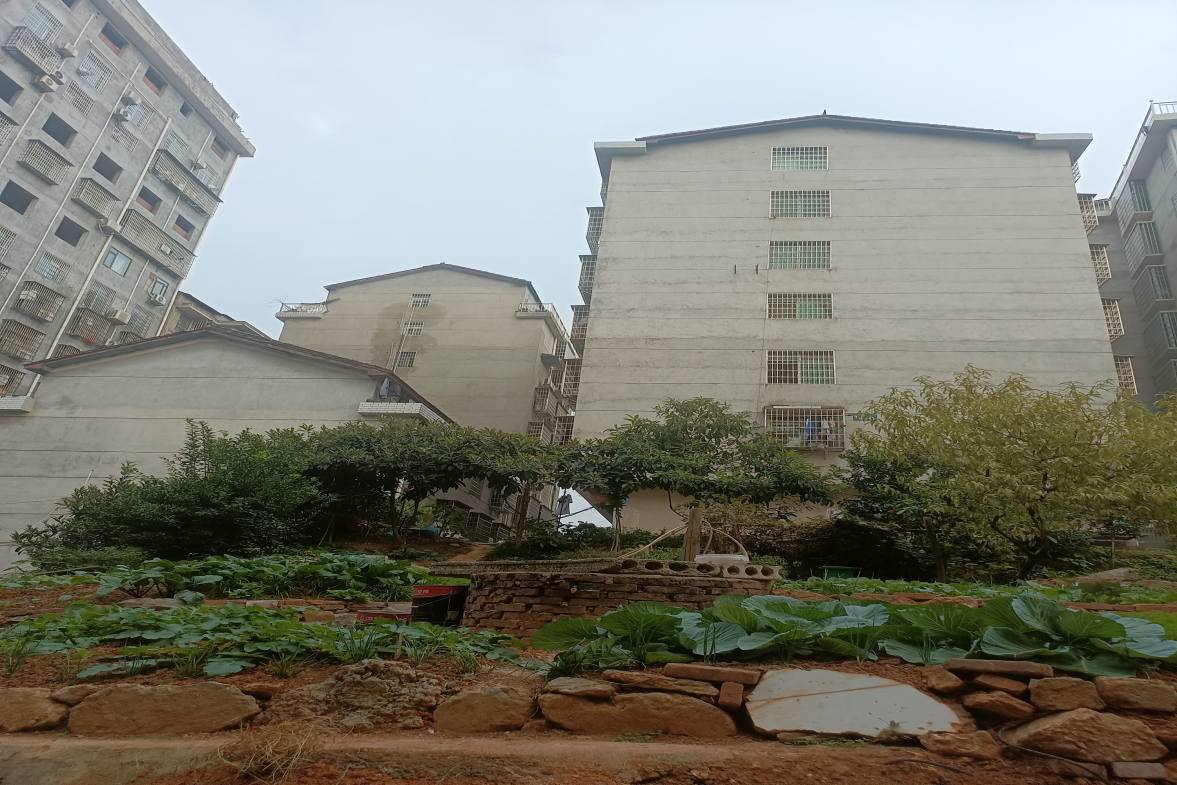 竹山社区散盘 2室1厅1卫 550.0元/月 竹山社区散盘 2室1厅1卫 550.0元/月室内图