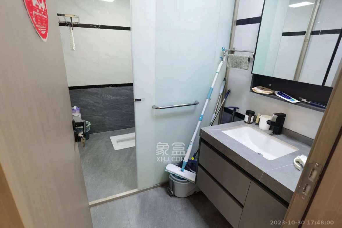 北辰定江洋  3室2厅2卫   15600.00元/月室内图