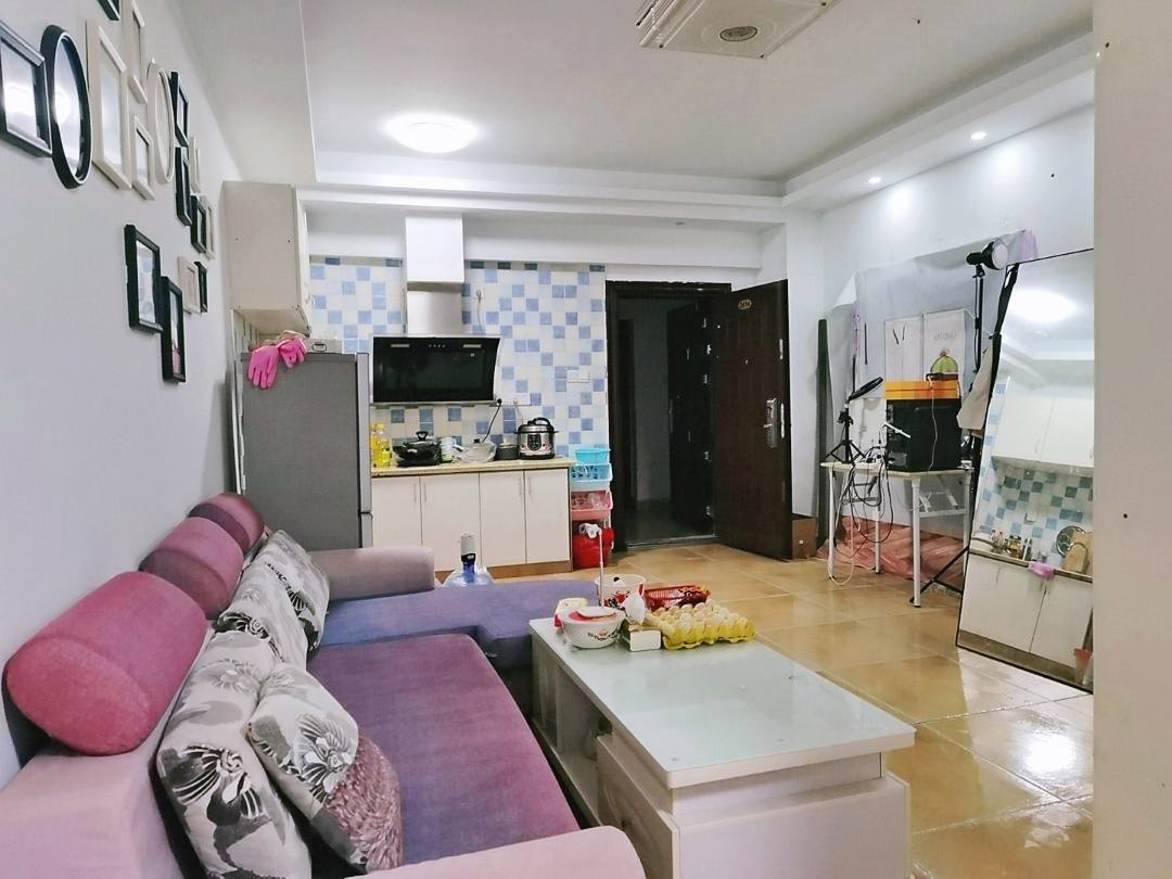 吉泰领寓  1室1厅1卫    50.0万室内图1