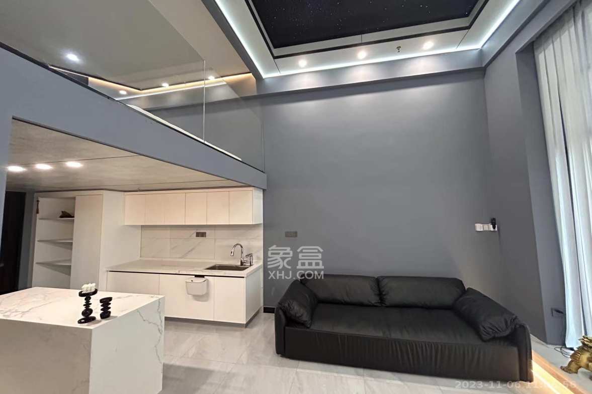 梅溪半岛  1室1厅1卫    4000.0元/月室内图1