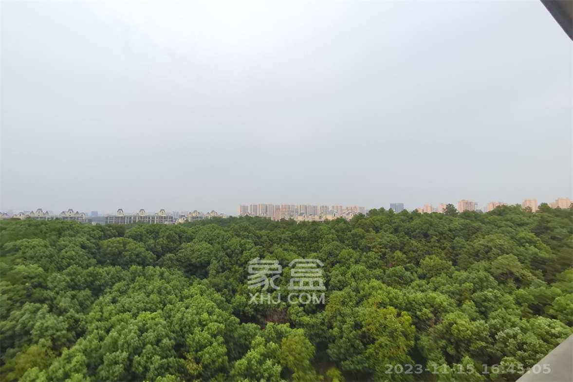 桃阳苑(省人大单位房)  4室2厅1卫    2000.0元/月 桃阳苑(省人大单位房)  4室2厅1卫    2000.0元/月室内图