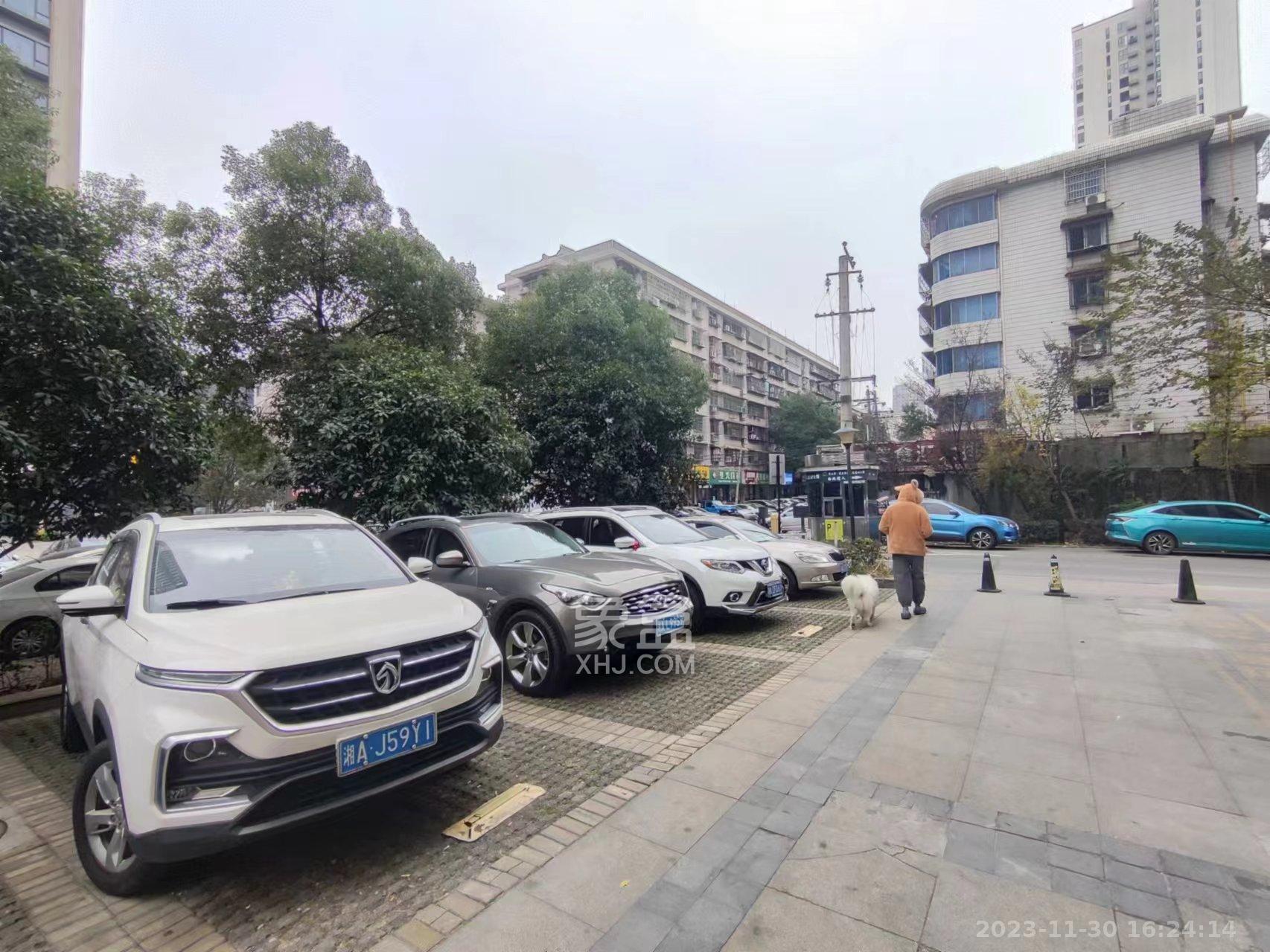 和隆花半里   48.35㎡      6250.0元/月