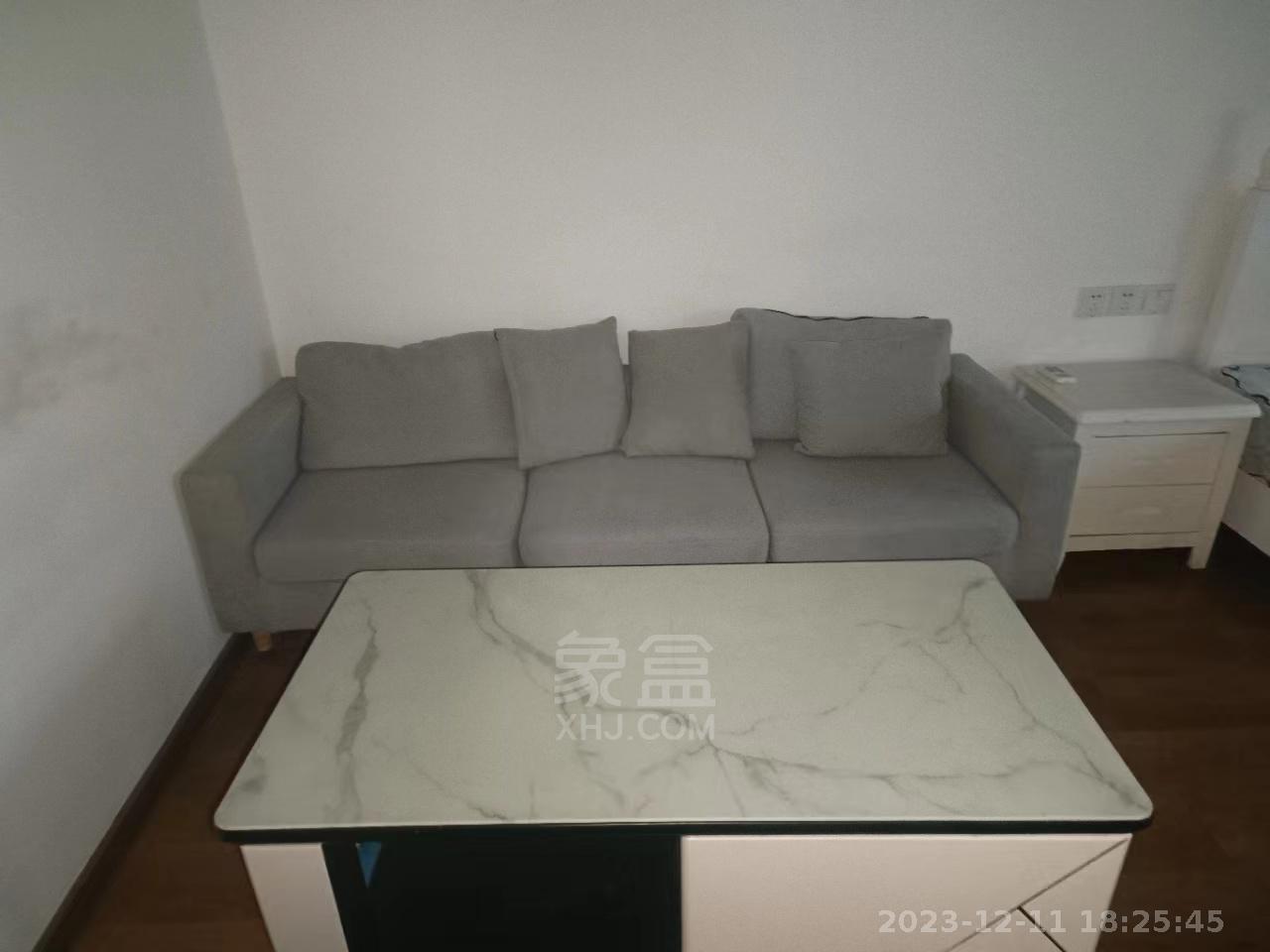 天赐万象汇  1室1厅2卫    1100.0元/月